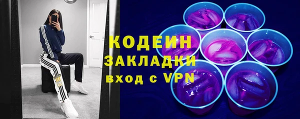 хмурый Аркадак
