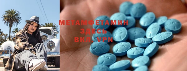 хмурый Аркадак