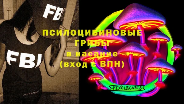 кокс Алексин