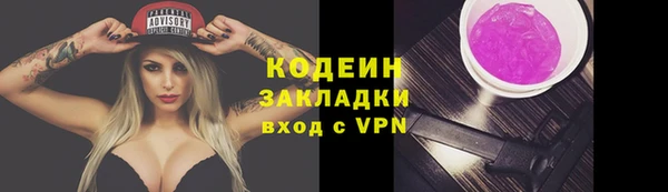 хмурый Аркадак
