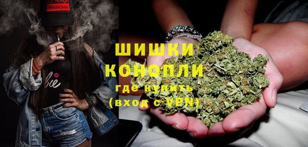 винт Арсеньев