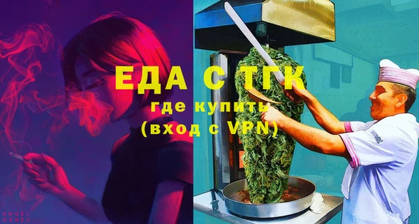 хмурый Аркадак