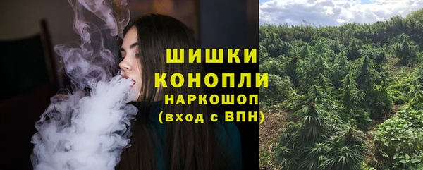 хмурый Аркадак