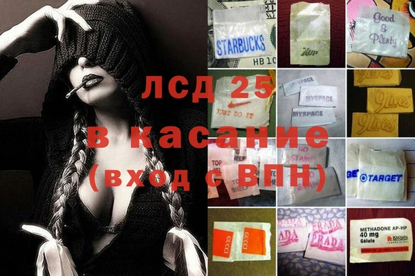 хмурый Аркадак