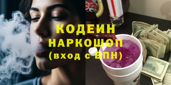хмурый Аркадак