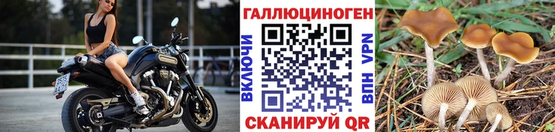 OMG ССЫЛКА Лесосибирск Галлюциногенные грибы мицелий дарнет шоп