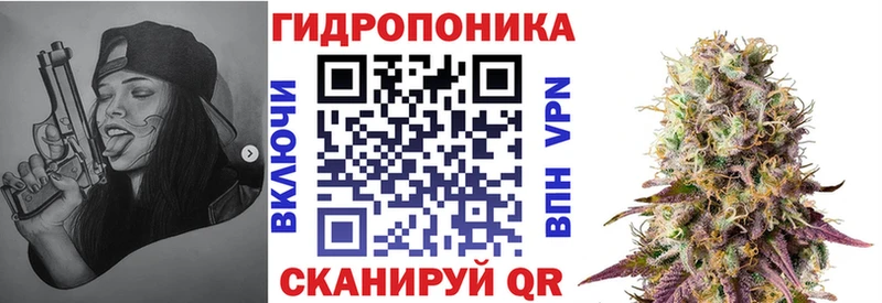 Каннабис Amnesia Лесосибирск